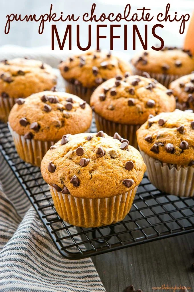 Delicious chocolate chip pumpkin muffins fresh out of the oven