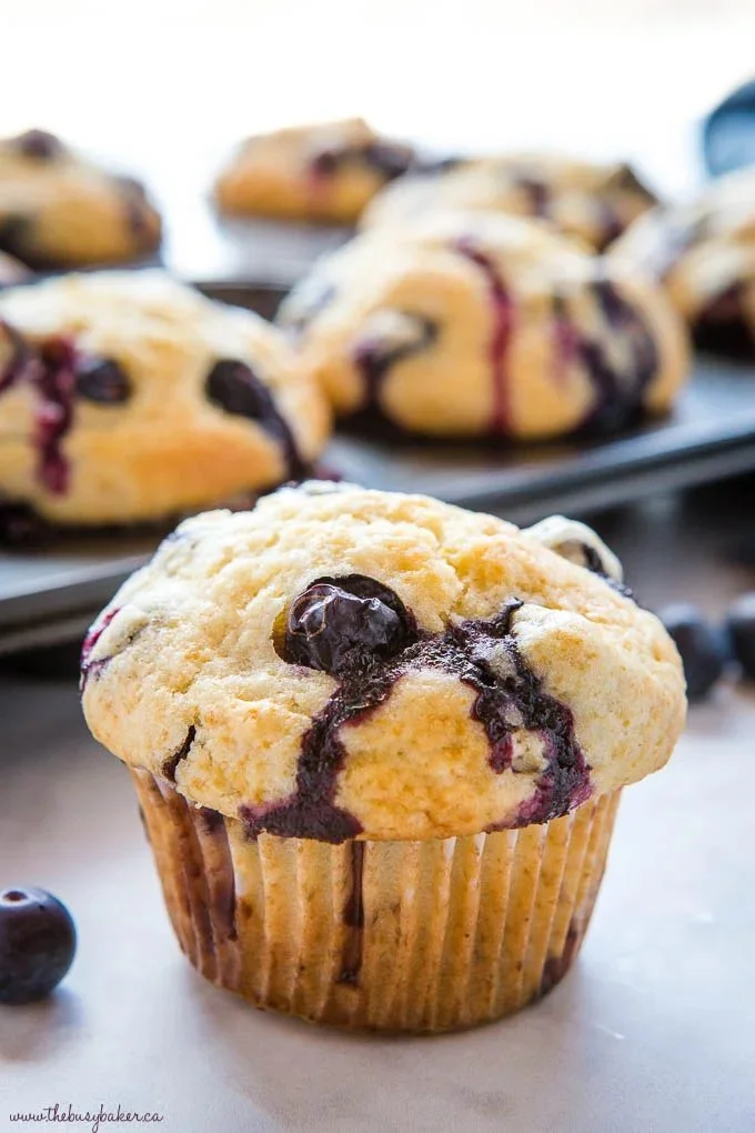 Freshly baked blueberry muffins golden brown and fluffy with blueberries on top