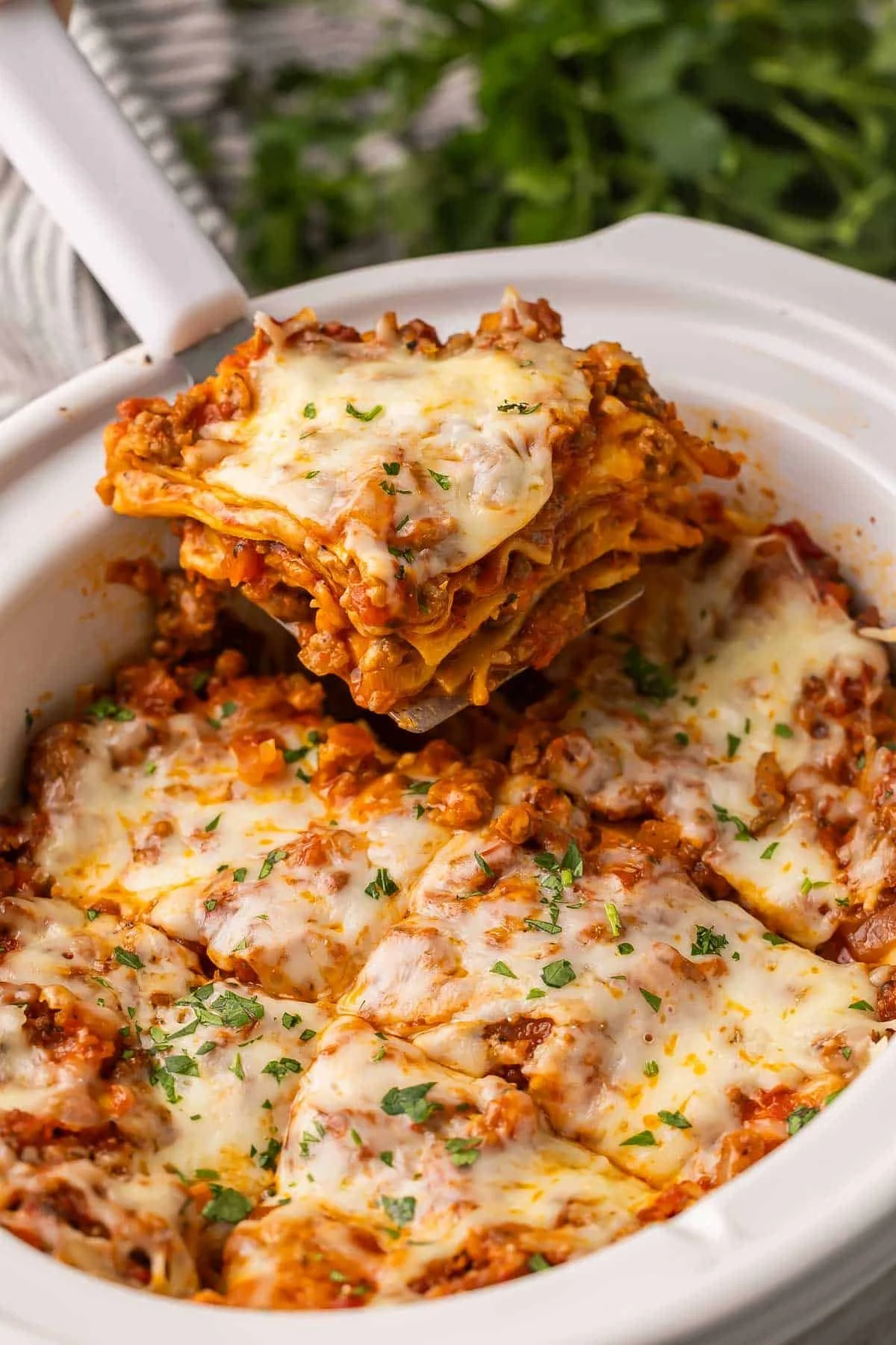 Delicious Crockpot Lasagna served with herbs and cheese in a cozy setting