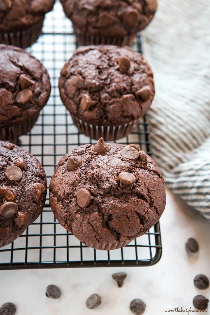 Delicious double chocolate muffins topped with chocolate chips