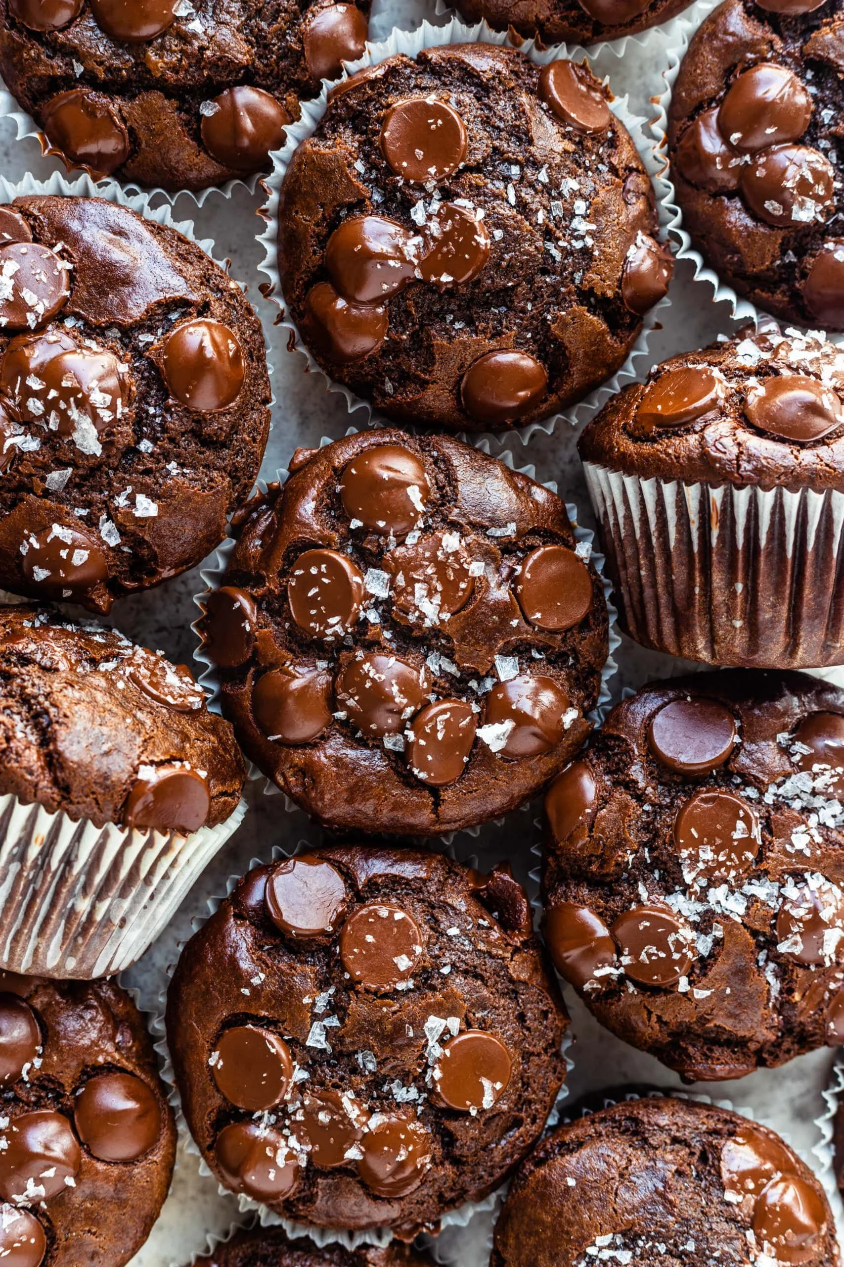 Delicious double chocolate muffins topped with chocolate chips