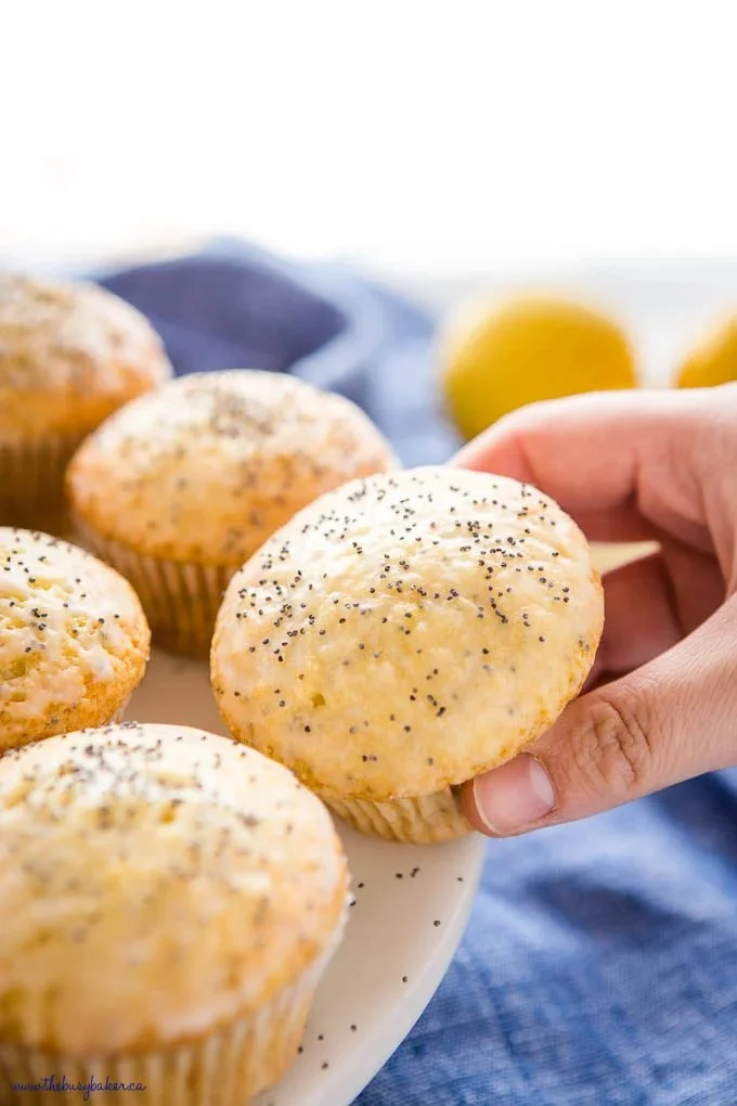 Freshly baked Lemon Poppy Seed Muffins on a cooling rack