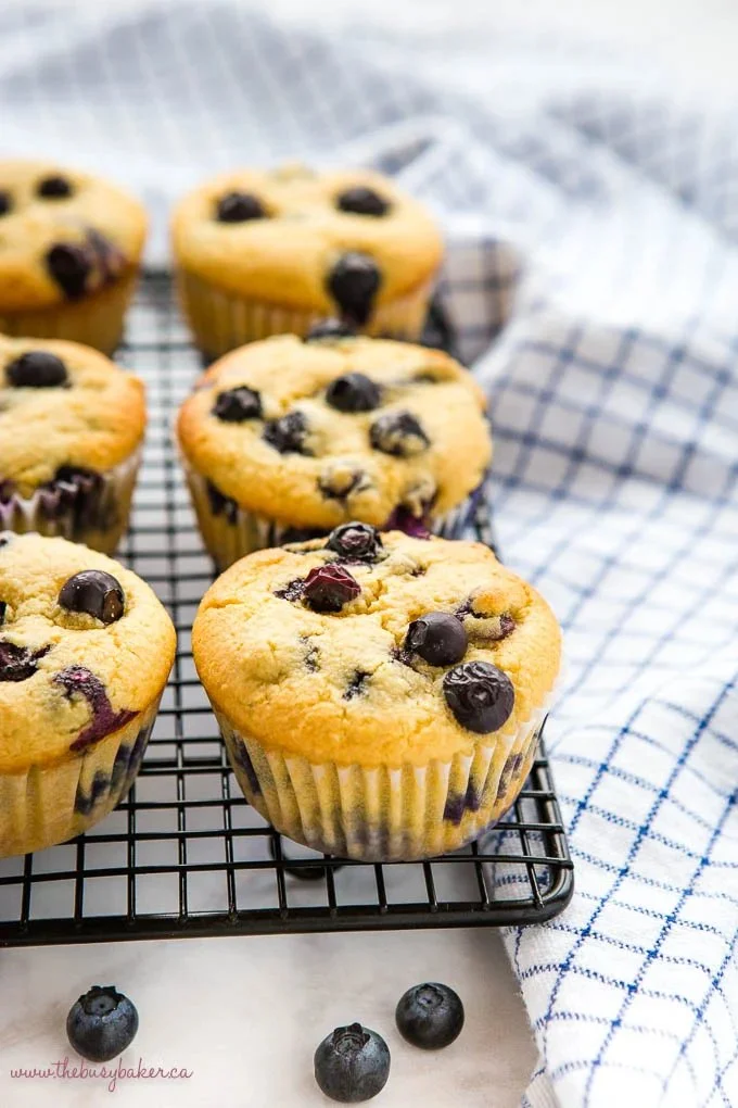 Low carb blueberry muffins fresh out of the oven