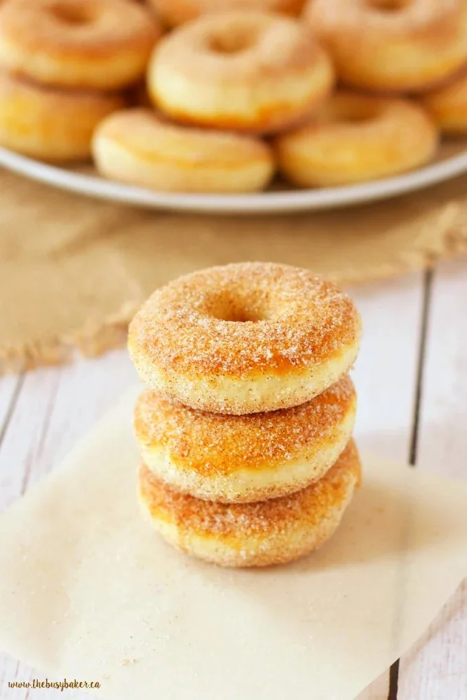A plate of old-fashioned baked cake donuts with a dusting of powdered sugar